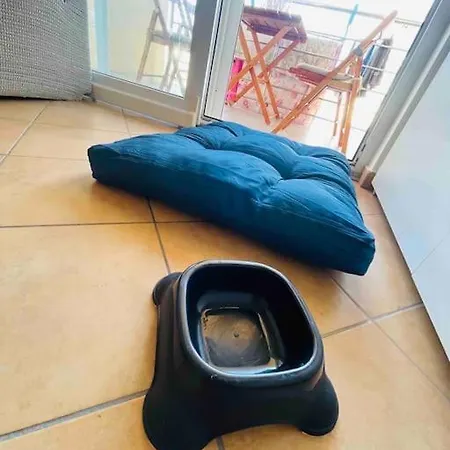 Mit Meerblick, Am Apartment Sibenik