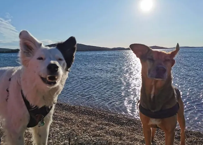 Seaview At שיבניק